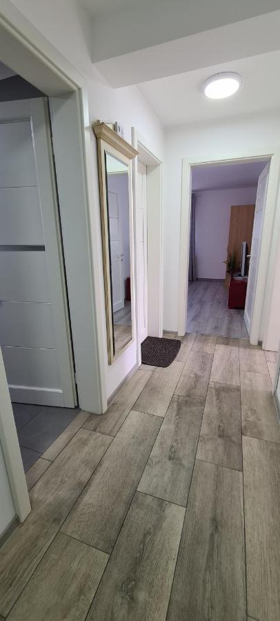 Elena Haus Aparthotel Cluj-Napoca Esterno foto